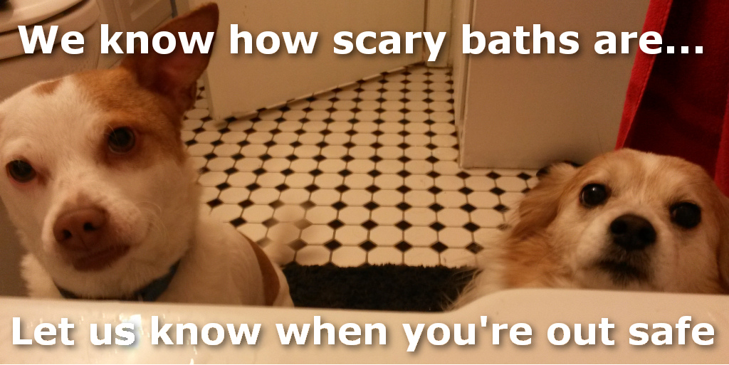 Let us know when you're out safe