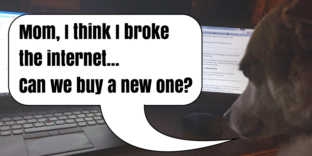 Mom, I think I broke the internet... Can we buy a new one?