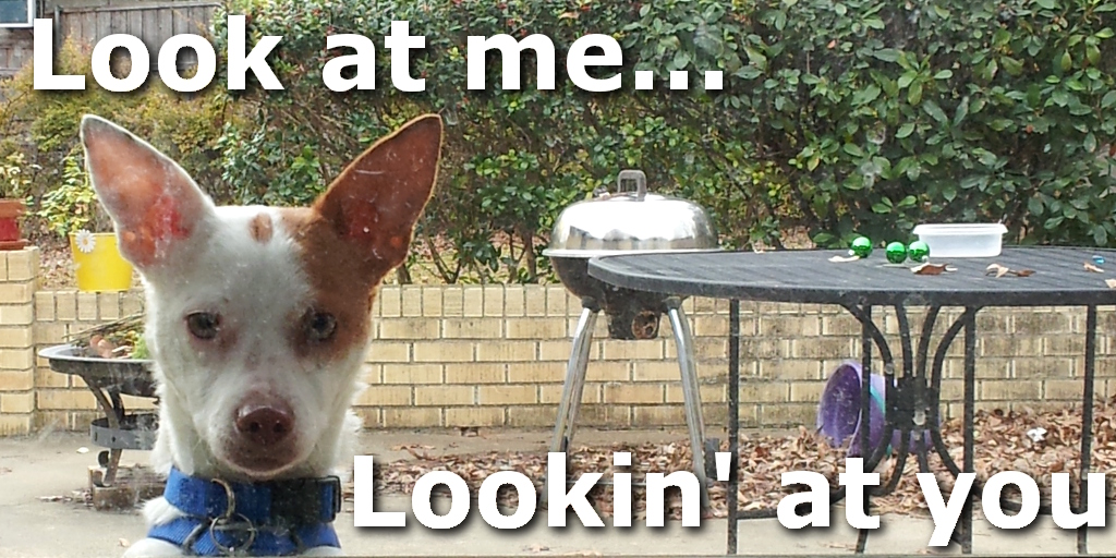 Look at me looking at you