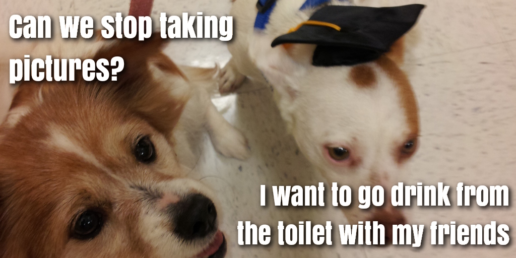 Can we stop taking graduation pictures? I want to go drink from the toilet with my friends