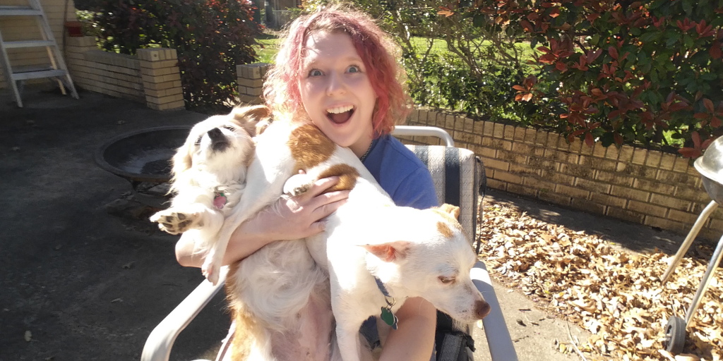 I'm enjoying this picture way more than the dogs